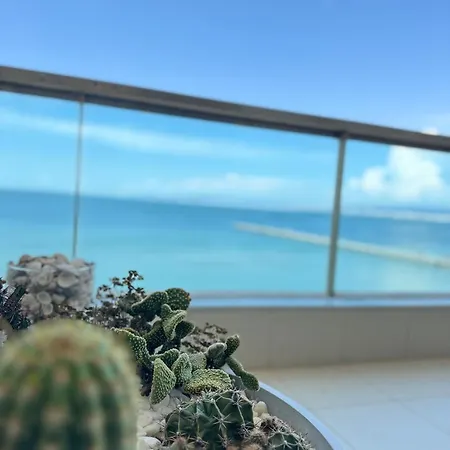 The Absolute View